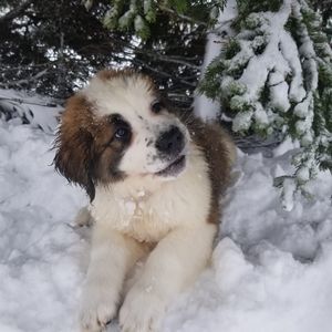 Meet your Posher, Tabitha